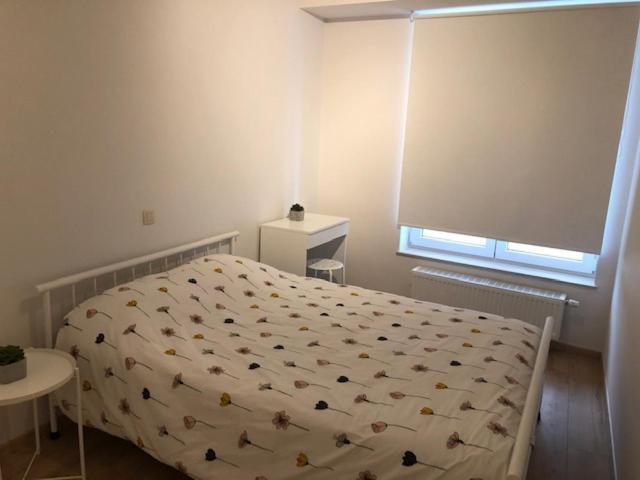 אוסטנדה Vakantie Appartement Allure, Met Zuidgericht Tuintje מראה חיצוני תמונה